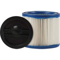 Petit filtre pour aspirateur pour d&eacute;bris secs/humides CleanStream Gore, Cartouche/Hepa, Pour 1 - 6 gal. US TGS INDUSTRIEL