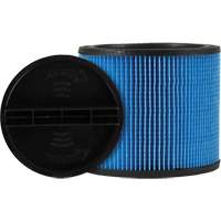 Filtre pour aspirateur Ultra-Web, Cartouche, Pour 5 gal. US TGS INDUSTRIEL