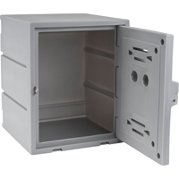 Casier, 15" x 15" x 18", Gris, Assembl&eacute; TGS INDUSTRIEL