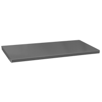 Tablettes de rechange pour armoire, 35-1/2" x 16-3/8", Capacit&eacute; de 900 lb, Acier, Gris TGS INDUSTRIEL