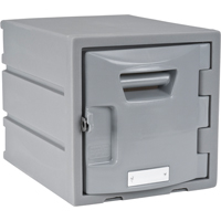 Casier, 12" x 15" x 12", Gris, Assembl&eacute; TGS INDUSTRIEL