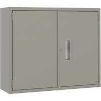 Armoire murale, Acier, 2 Tablettes, 30" h x 36" la x 12" P, Gris TGS INDUSTRIEL
