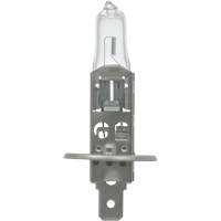 64155 Basic Automotive Bulb, Halogen, 78 W, Off White TGS INDUSTRIEL