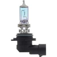 Automotive Supplies