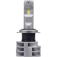 Ampoule pour feu avant H7, DEL, 13,2 W/17 W, Blanc TGS INDUSTRIEL