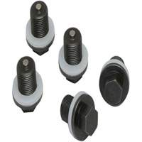 Set of 5 Plugs & Gaskets  TGS INDUSTRIEL