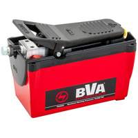 Pompe &agrave; air &agrave; une vitesse avec r&eacute;servoir de 122,1 po³ TGS INDUSTRIEL