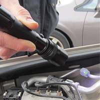 Rechargeable UV Flashlight TGS INDUSTRIEL