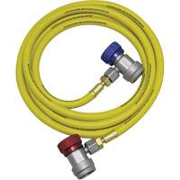 Ensemble flexible de rinçage pour syst&egrave;me de climatisation R134a TGS INDUSTRIEL