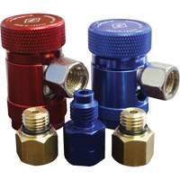 Deluxe R134a/R1234yf Conversion Kit TGS INDUSTRIEL