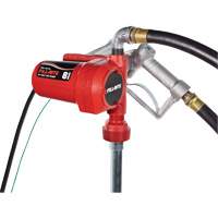 Pompe de transfert de carburant 12 V CC avec pistolet TGS INDUSTRIEL