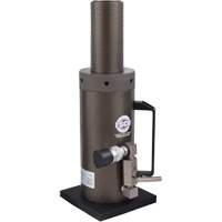 Safety Locking Collar Jack, 6" Stroke, 50 Ton(s) Capacity, 10000 PSI TGS INDUSTRIEL