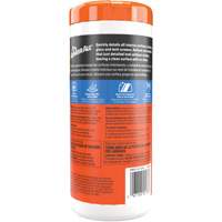 Interior Detailer Wipes TGS INDUSTRIEL