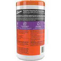 Cleaning Wipes TGS INDUSTRIEL
