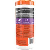 Air Freshening Cleaning Wipes TGS INDUSTRIEL