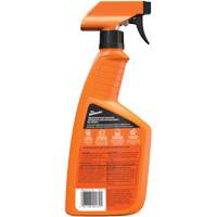 Multi-Purpose Auto Cleaner, 16 oz./473 ml, Trigger Bottle TGS INDUSTRIEL