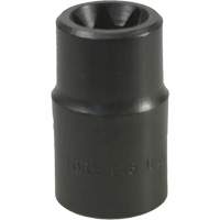 E-18 Torx&reg; Socket TGS INDUSTRIEL