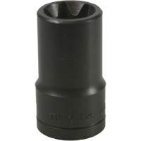 E-20 Torx&reg; Socket TGS INDUSTRIEL