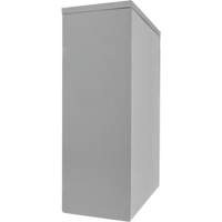 Counter-High Storage Cabinet, Steel, 2 Shelves, 42" H x 30" W x 15" D, Grey TGS INDUSTRIEL