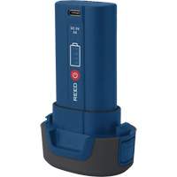 Batterie de remplacement R2170 3,7 V TGS INDUSTRIEL