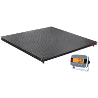 Balances de plancher Defender 3000, Capacit&eacute; de 5000 lb, 4' lo x 4' la TGS INDUSTRIEL