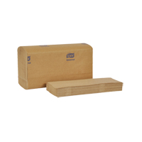 Multifold Towels, 1 Ply, 9-1/10" L x 9-1/2" W, 250 /Pack TGS INDUSTRIEL
