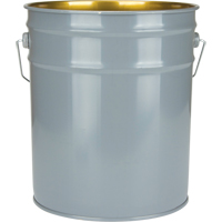 Lined Pail, Steel, 18.9 L TGS INDUSTRIEL