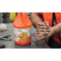 Nettoyant pour les mains &agrave; l'orange, Pierre ponce, 3,6 L, Cruche, Orange TGS INDUSTRIEL