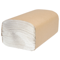 Everest Pro Singlefold Hand Towels, 1 Ply, 10-1/4" L x 9-1/4" W, 250 /Pack TGS INDUSTRIEL