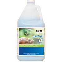 Nettoyant pour salle de bain Polar, 4 L, Cruche TGS INDUSTRIEL