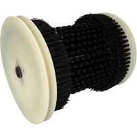 Refill Brush TGS INDUSTRIEL