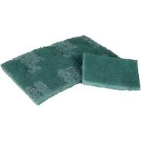 Tampon de r&eacute;curage, 3" lo x 4-1/2" la TGS INDUSTRIEL