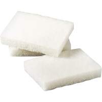 Tampon &agrave; r&eacute;curer pour petits travaux Scotch-Brite, 5" lo x 3-1/2" la TGS INDUSTRIEL