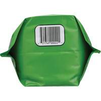 Nettoyant pour les mains biod&eacute;gradable, Poudre, 4,5 lb, Pochette, Sans parfum TGS INDUSTRIEL