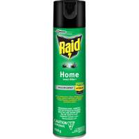 Insecticide pour insectes domestiques Raid, 350 g, &agrave; base de solvant TGS INDUSTRIEL