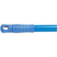 Manche, Fibre de verre, Pointe Connexion rapide, 1" dia, 60" lo TGS INDUSTRIEL