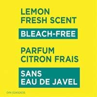 Lingettes d&eacute;sinfectantes, 75 lingettes TGS INDUSTRIEL