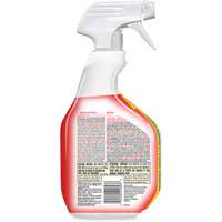 Disinfecting Bio Stain & Odour Remover, 946 ml, Trigger Bottle TGS INDUSTRIEL