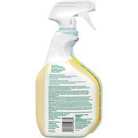 CloroxPro Clorox EcoClean All-Purpose Cleaner, 946 ml, Trigger Bottle TGS INDUSTRIEL