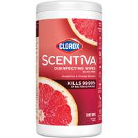 Lingettes d&eacute;sinfectantes, 75 lingettes TGS INDUSTRIEL