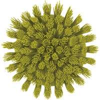 Brosse ronde HyDrive pour perceuse, Soies Tr&egrave;s ferme, Longueur de 3-1/10", Jaune TGS INDUSTRIEL