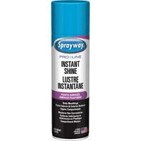 Brillant instantan&eacute; Pro Line pour surfaces en plastique, 11 oz, Canette a&eacute;rosol TGS INDUSTRIEL