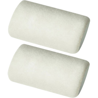 Professional Roller Sleeves, 9.525 mm (3/8") Nap, 101.6 mm (4") L TGS INDUSTRIEL