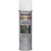 Peinture de marquage renvers&eacute; en a&eacute;rosol, 426 g, Canette a&eacute;rosol TGS INDUSTRIEL