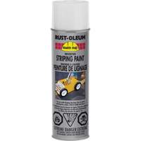 Peinture de marquage renvers&eacute; en a&eacute;rosol, Blanc, Canette a&eacute;rosol TGS INDUSTRIEL