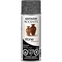 Accents&reg; Stone Creations Spray Paint, Aerosol Can, Grey Stone TGS INDUSTRIEL