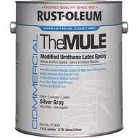 Modified Urethane Latex Epoxy, Silver Grey, Gallon TGS INDUSTRIEL