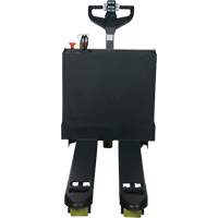 Transpalette &eacute;lectrique motoris&eacute;, Capacit&eacute; 4500 lb, 48" lo x 30,25" la TGS INDUSTRIEL