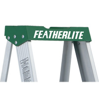 Commercial Duty Stepladders (2400 Series), 4', Aluminum, 225 lbs. Capacity, Type 2 TGS INDUSTRIEL
