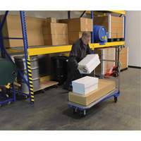 Platform Cart, 48" L x 24" W, 1500 lbs. Capacity, Mold-on Rubber Casters TGS INDUSTRIEL